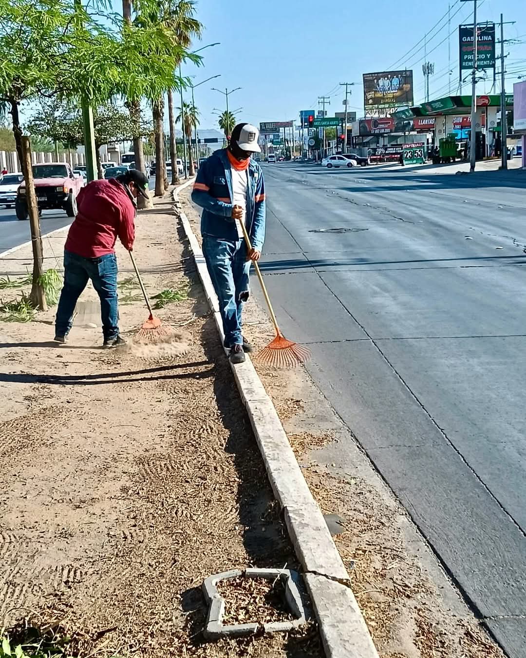 El Programa "Bulevareando" en Hermosillo, es mantener las a&eacute;reas verdes limpias 