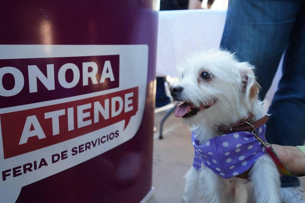 Alfonso Durazo lleva a las comunidades La Feria de Servicios #SonoraAtiende 