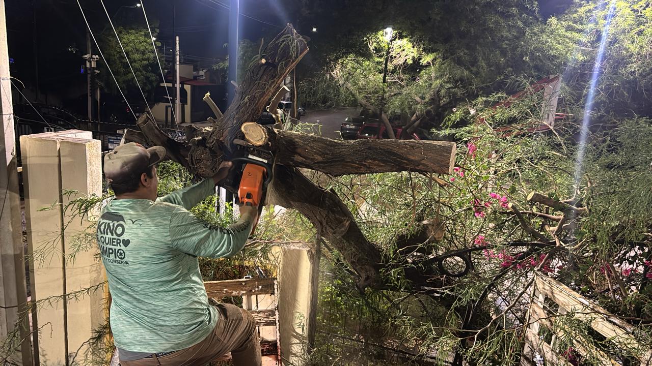 Atiende Gobierno de Hermosillo 34 reportes por lluvia presentada este domingo 