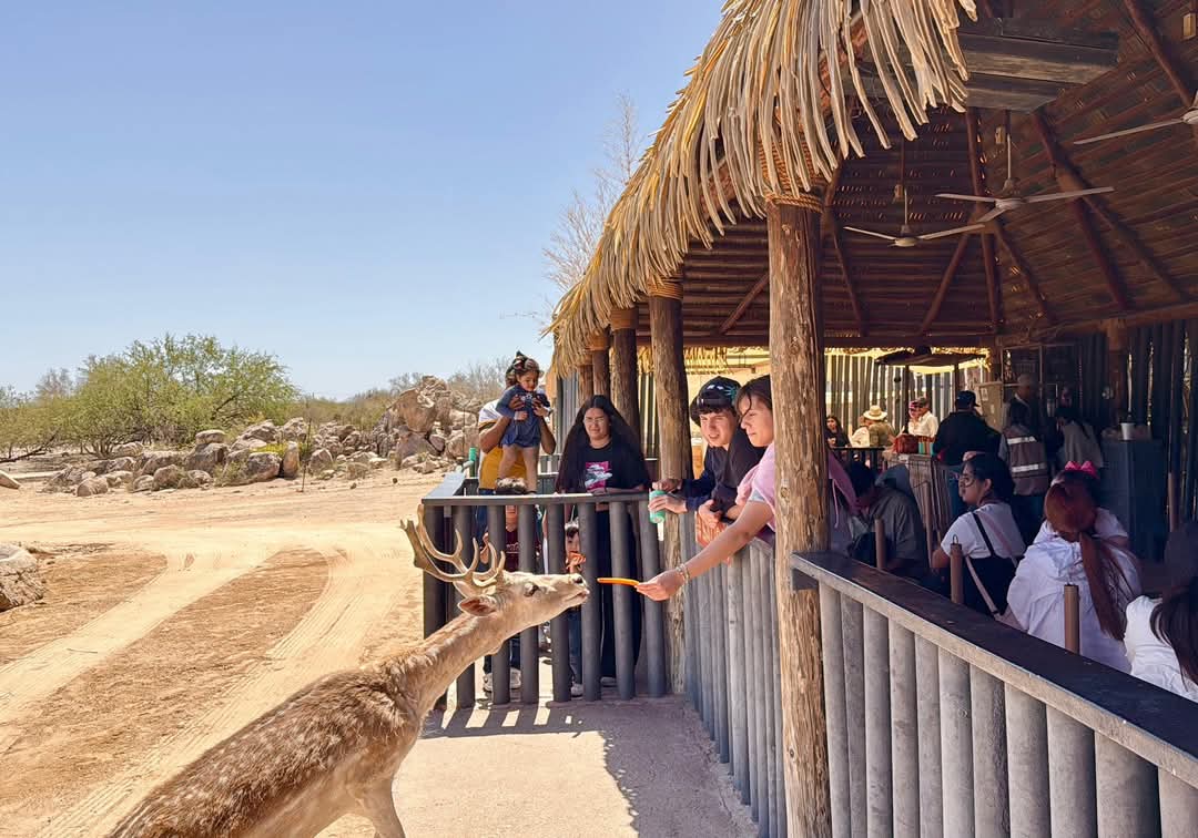 Alfonso Durazo invita a los sonorenses a disfrutar decla Semana Santa 