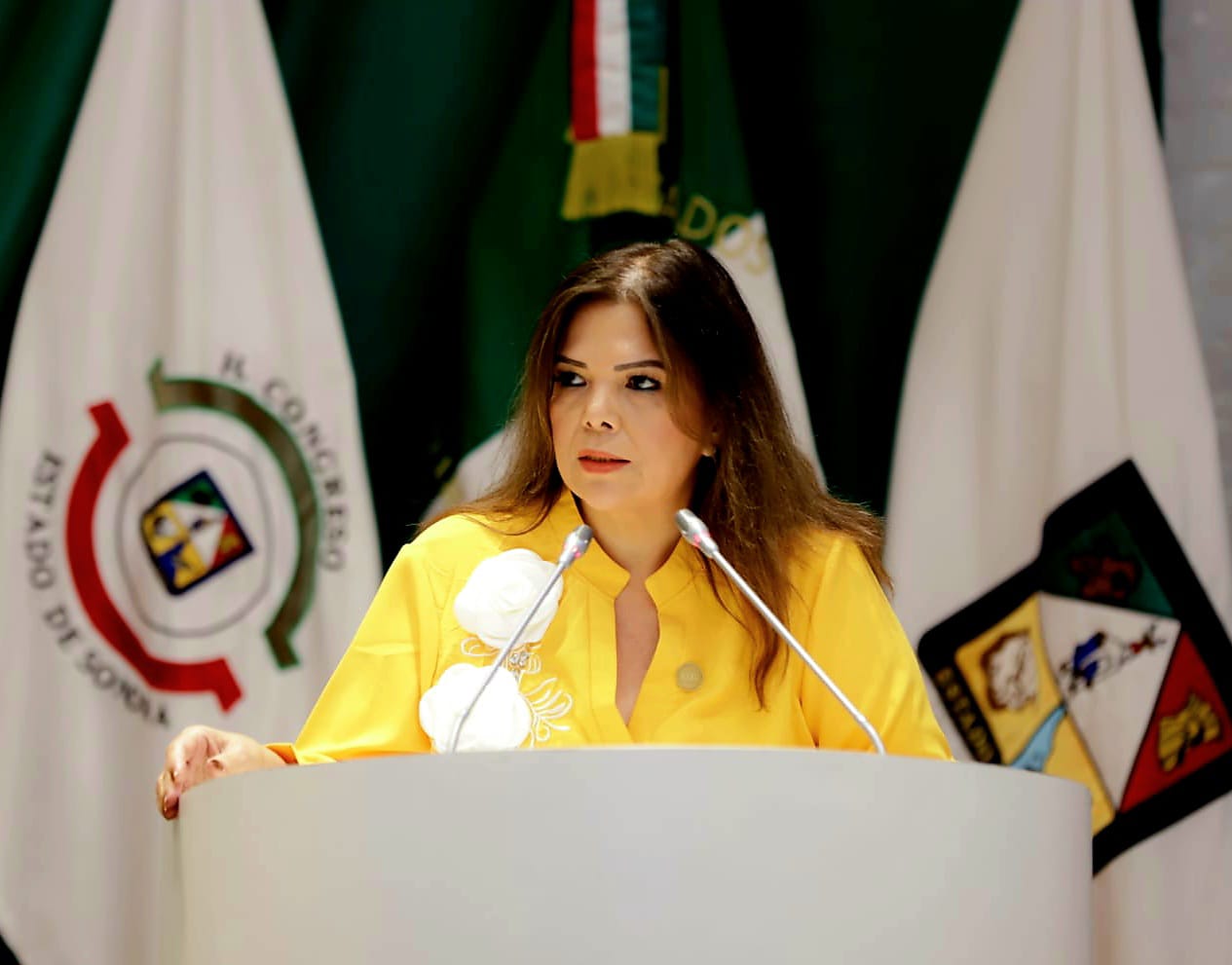 Diputada Gabriela Tapia Fonllem presenta una para garantizar un presupuesto digno a productores de granos b&aacute;sicos Sonora 