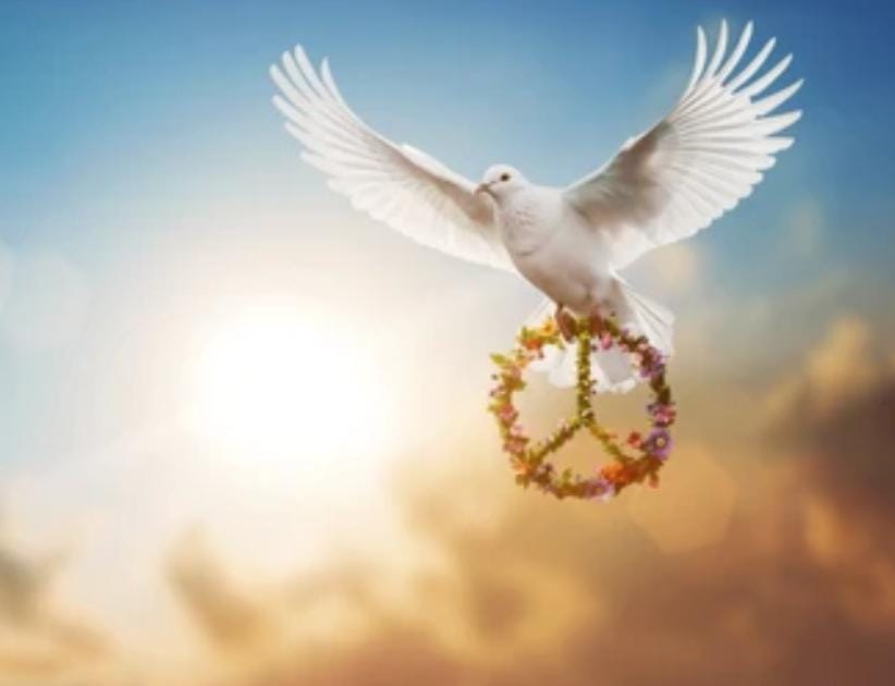 D&iacute;a de la Paz. 