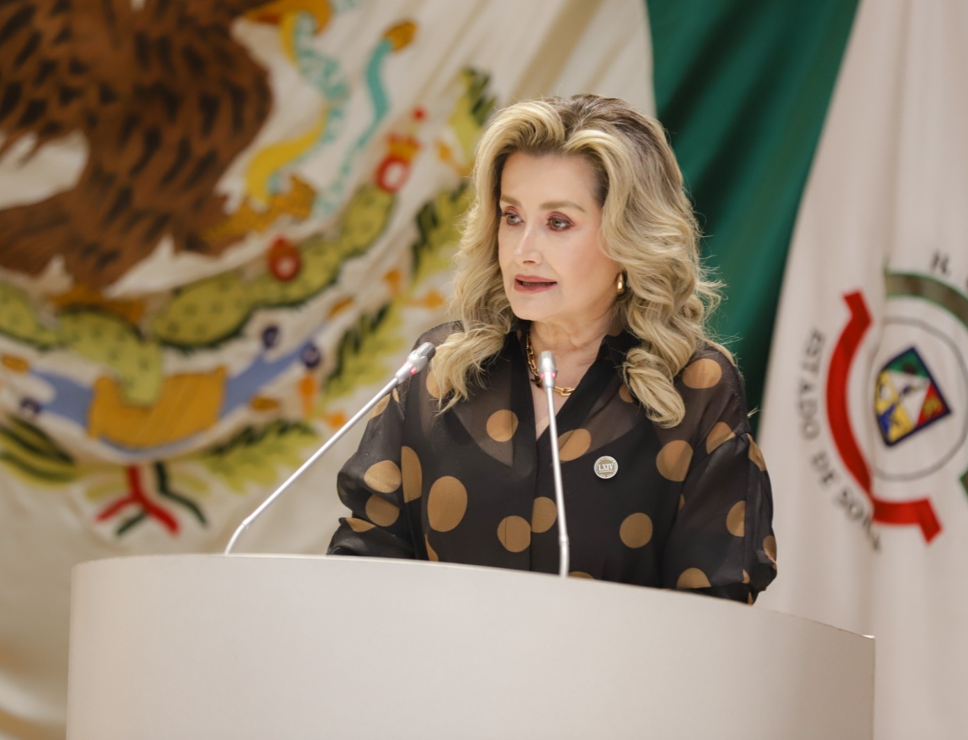 Diputada Ely Sallard presenta iniciativa para crear el Registro Estatal de Arrendatarios Morosos 